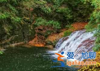 光霧山紅葉什么時候紅,2018光霧山紅葉紅了嗎? 光霧山紅葉什么時候紅,2018光霧山紅葉紅了嗎?