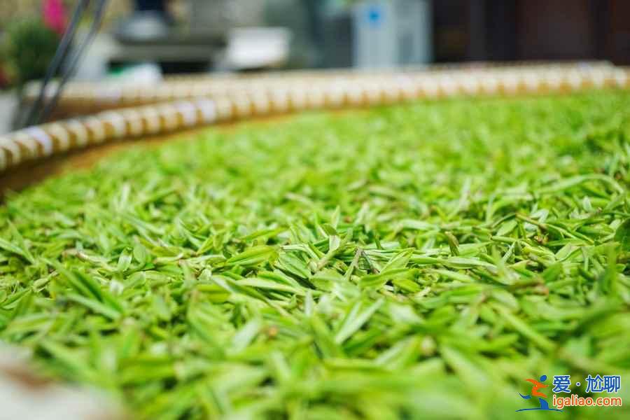 從杭州蕭山機場怎么去市區，杭州蕭山機場到市區有公交和地鐵嗎，杭州蕭山機場到市區的交通指南？