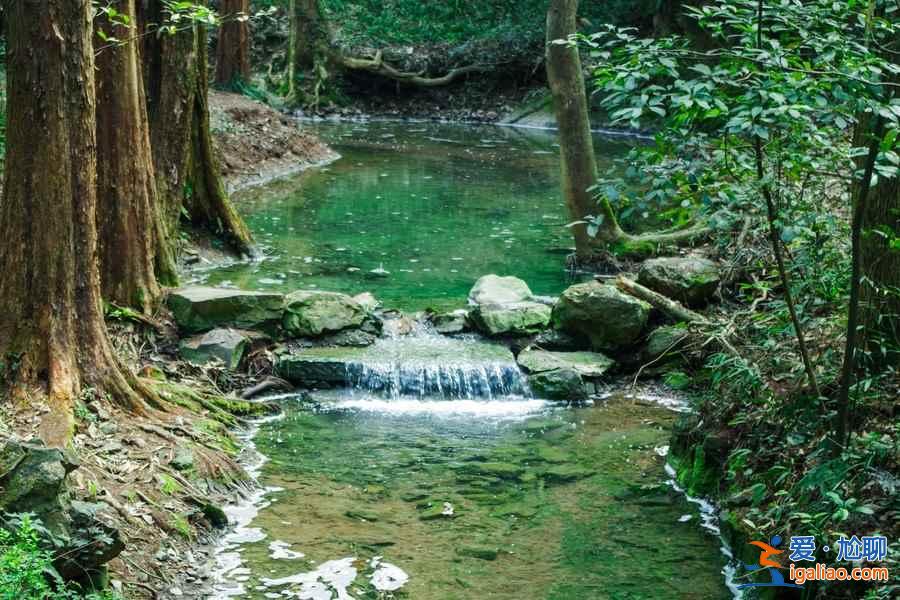從杭州蕭山機場怎么去市區，杭州蕭山機場到市區有公交和地鐵嗎，杭州蕭山機場到市區的交通指南？