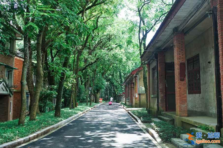 從杭州蕭山機場怎么去市區，杭州蕭山機場到市區有公交和地鐵嗎，杭州蕭山機場到市區的交通指南？
