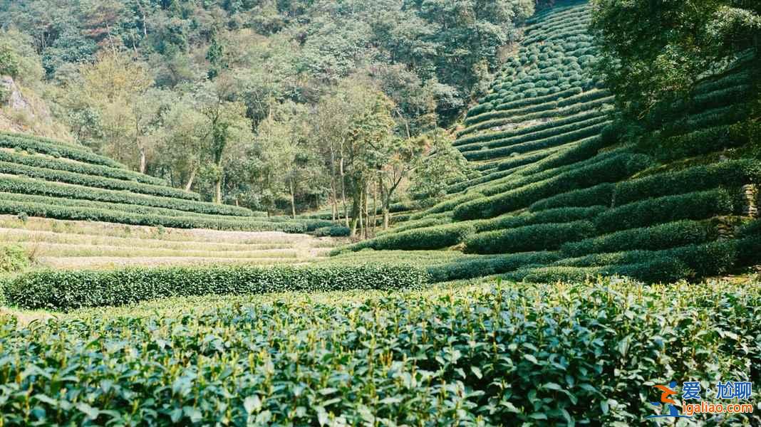 從杭州蕭山機場怎么去市區，杭州蕭山機場到市區有公交和地鐵嗎，杭州蕭山機場到市區的交通指南？
