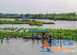 【路線】2018北京到白洋淀自駕游，北京到白洋淀怎么走？