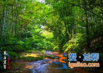 蜀南竹海自駕游路線，（西安、成都、重慶等）到蜀南竹海自駕路線圖？