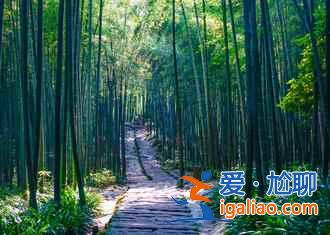 蜀南竹海自駕游路線，（西安、成都、重慶等）到蜀南竹海自駕路線圖？