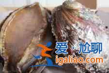 凍鮑魚的家常做法? 凍鮑魚的家常做法?