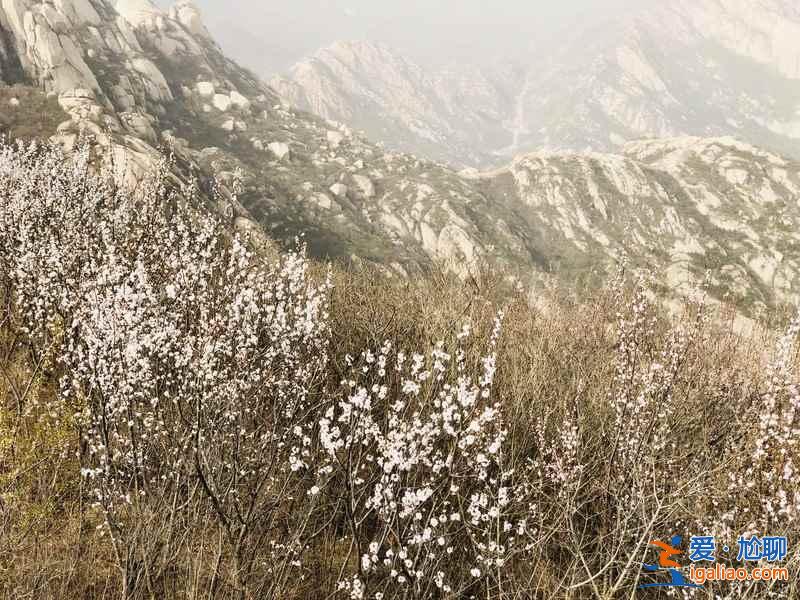 【北京登山好去處】2019北京登山去哪好，北京值得去的8條登山步道？