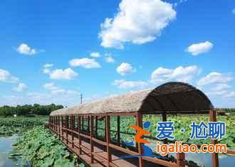 【路線】2018北京到白洋淀自駕游，北京到白洋淀怎么走？