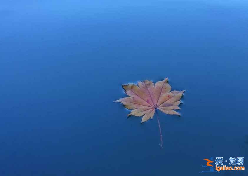 秋季游游玩去哪好，秋季出國游景點(diǎn)，秋季游玩景點(diǎn)推薦？