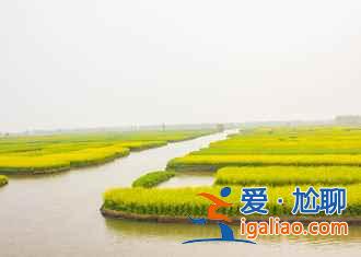 說起油菜花,婺源人太多,這里才是最佳!? 說起油菜花,婺源人太多,這里才是最佳!?