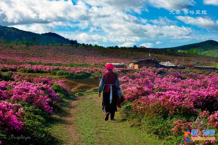 【旅行月歷：5、6月】初夏國內(nèi)最美八大旅行地？