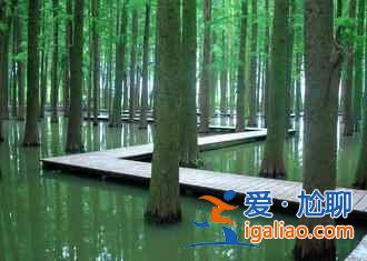 說起油菜花,婺源人太多,這里才是最佳!? 說起油菜花,婺源人太多,這里才是最佳!?