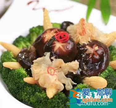 廣東家常菜的做法 詮釋粵菜經典？