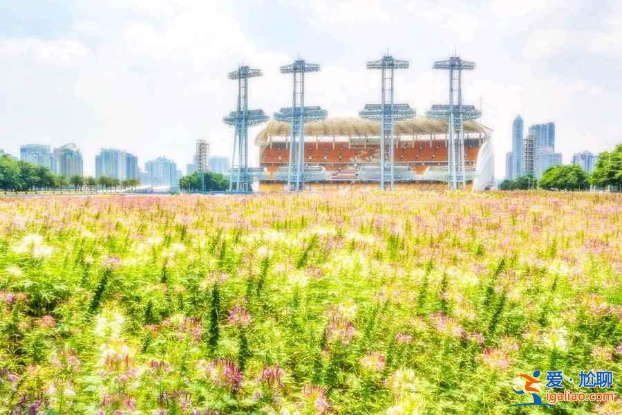 廣州哪里好玩又便宜？廣州便宜好玩的地方推薦？