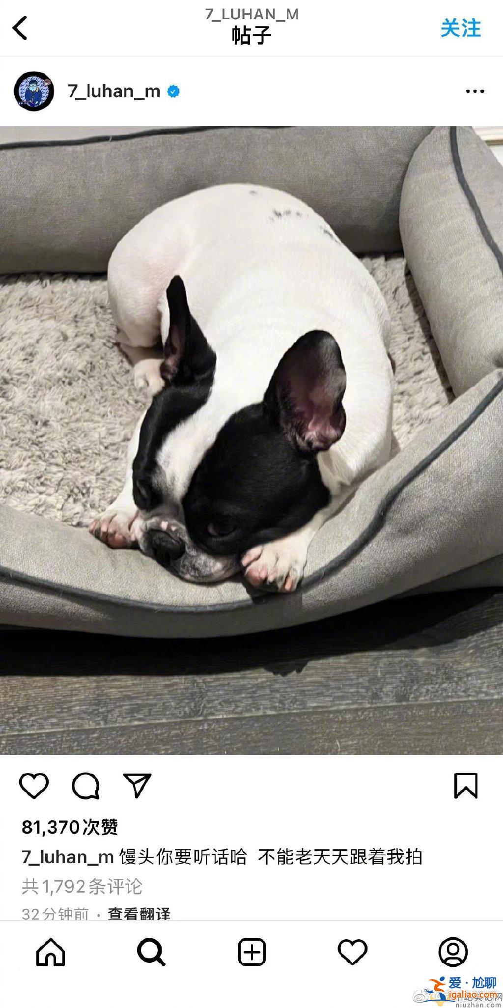 鹿晗聚餐被偷拍 鹿晗發(fā)文疑似懟狗仔