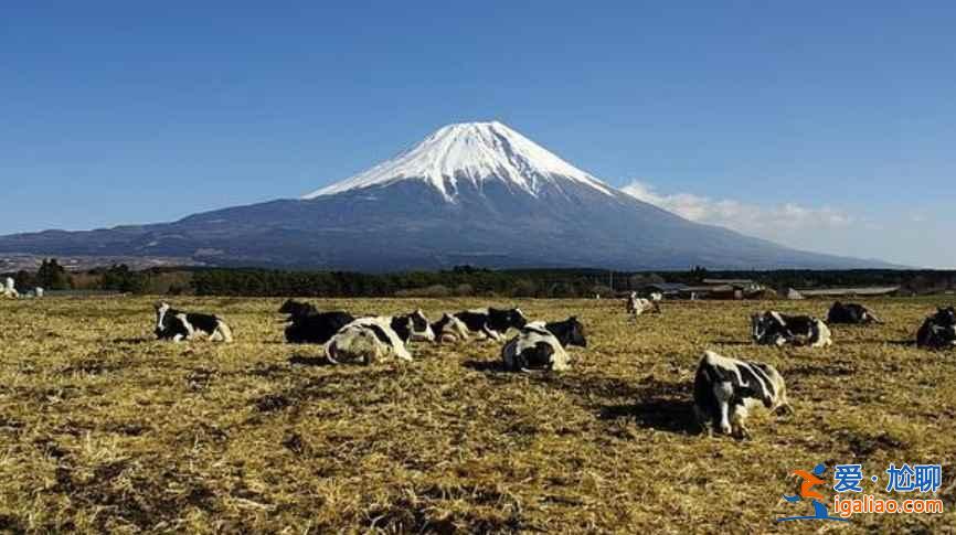 【富士山攝影指南】日本富士山拍攝指南（最佳拍攝地點(diǎn)、周邊住宿）？
