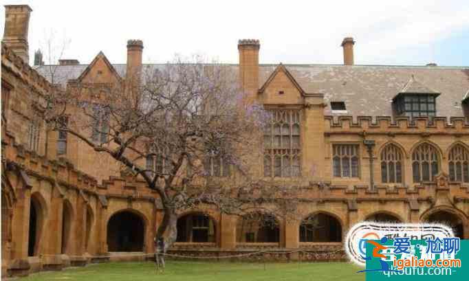 科廷科技大學本科專業設置？