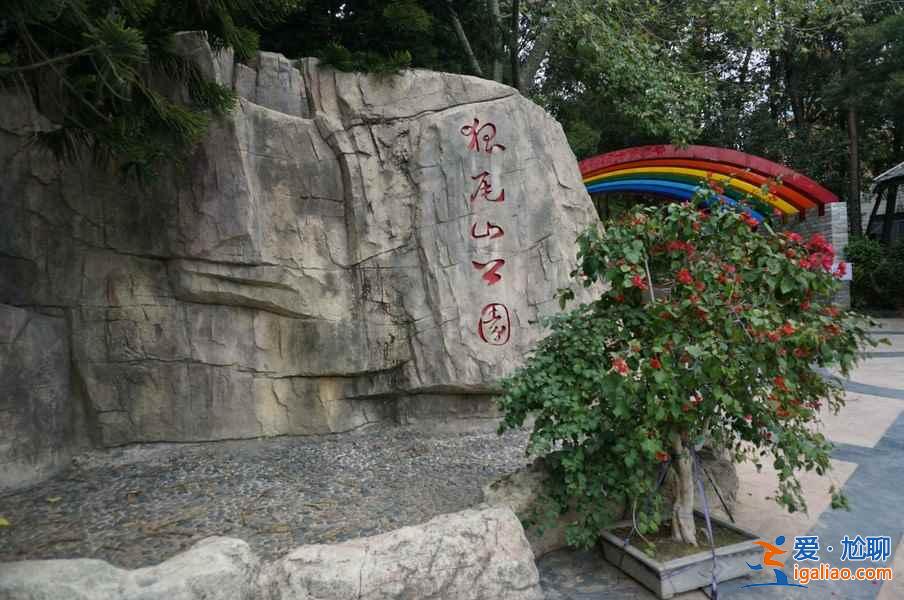廈門騎行路線推薦，8條路線玩轉廈門？