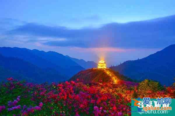 2021大圍山國家森林公園自12月26日起臨時閉園通知？