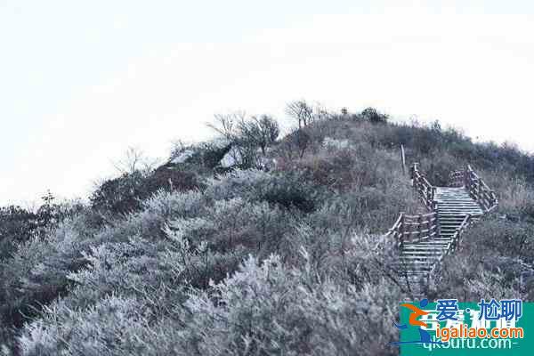 2021大圍山國家森林公園自12月26日起臨時閉園通知？
