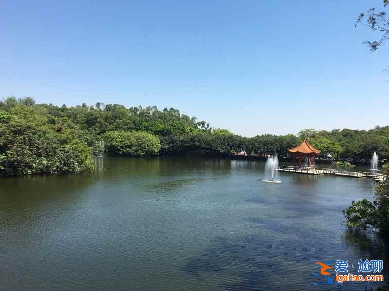 廣州蓮花山風景區門票多少錢，廣州蓮花山風景區門票價格，廣州蓮花山風景區有沒有優惠票？