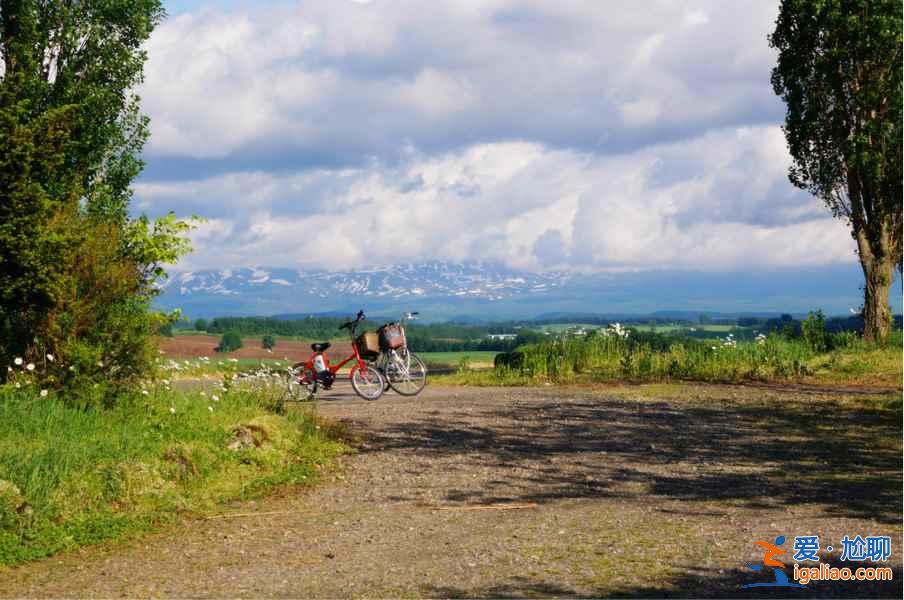 【北海道住宿推薦】日本北海道酒店TOP5，北海道溫泉酒店推薦？