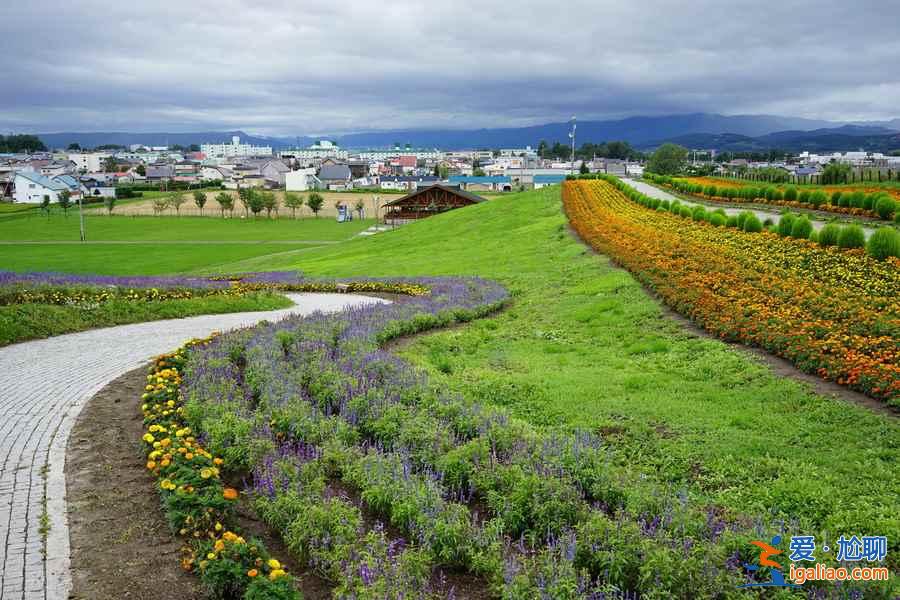 【北海道住宿推薦】日本北海道酒店TOP5，北海道溫泉酒店推薦？
