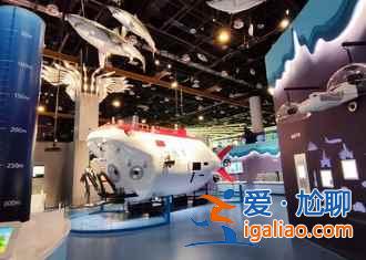 去廈門3天怎么玩好,廈門三天行程安排? 去廈門3天怎么玩好,廈門三天行程安排?