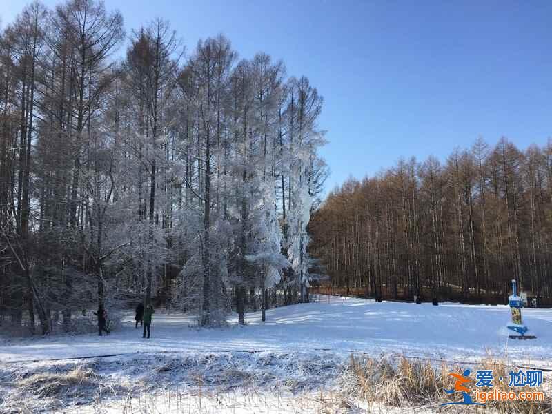 二龍山滑雪場(chǎng)游玩攻略，二龍山滑雪場(chǎng)出游秘籍？