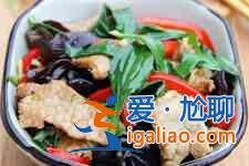 車前草的食用方法？
