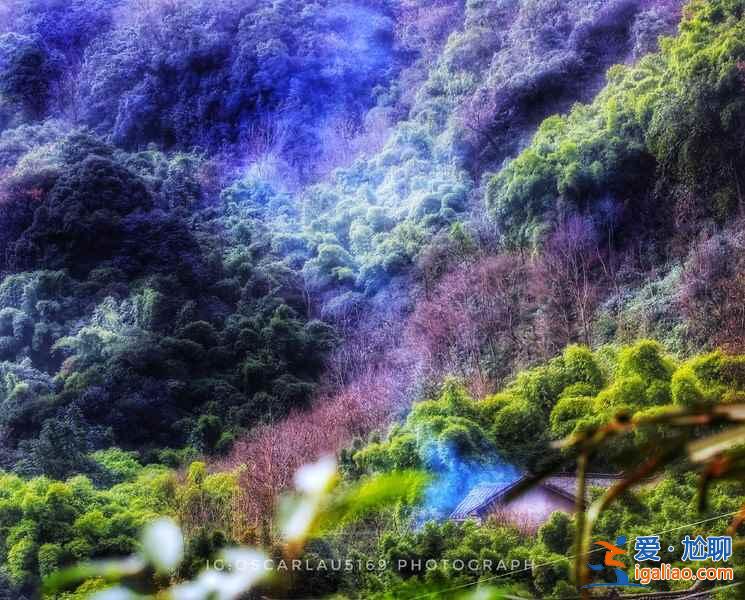 峨眉山有哪些網紅景點，峨眉山網紅景點好玩嗎，峨眉山網紅景點推薦？