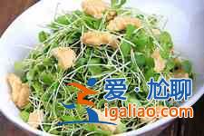 香椿芽的做法？