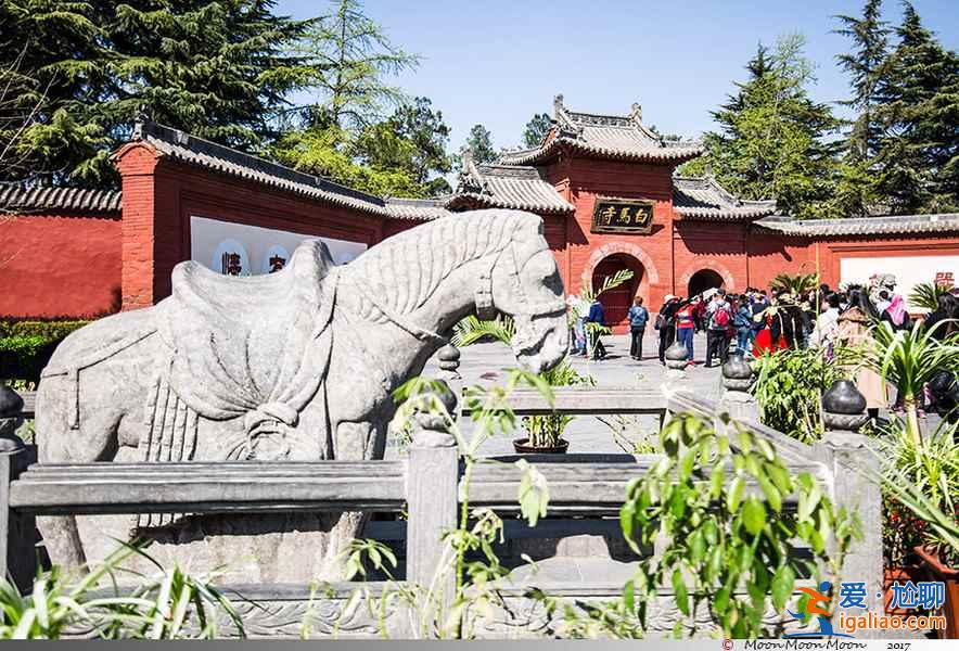 【五一去洛陽】五一洛陽看牡丹，五一去洛陽旅游攻略？