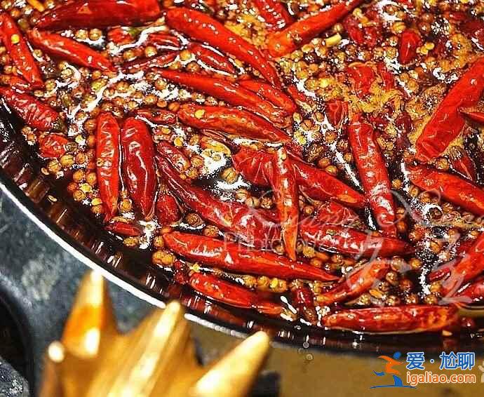 【成都火鍋店被吃垮】成都火鍋有多好吃，成都火鍋你真的會吃嗎？
