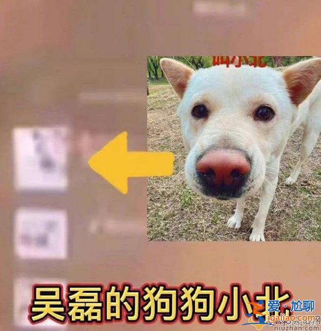 網曝吳磊微信置頂疑是向涵之  吳磊向涵之疑似戀愛？