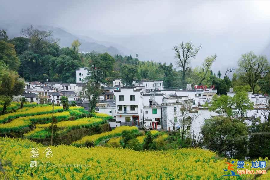 三月國內出游好地方推薦,三月國內最美目的地排行? 三月國內出游好地方推薦,三月國內最美目的地排行?