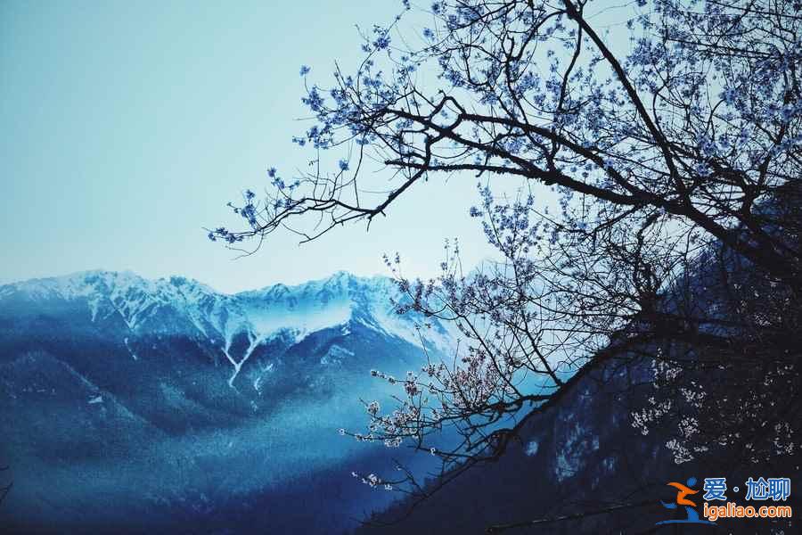 三月國內出游好地方推薦,三月國內最美目的地排行? 三月國內出游好地方推薦,三月國內最美目的地排行?