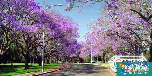 迪肯大學什么專業好及優勢專業推薦? 迪肯大學什么專業好及優勢專業推薦?