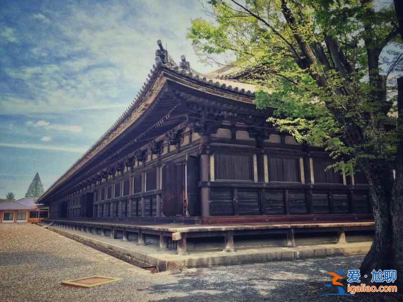 新一小蘭修學旅行地點是哪？朝圣怎么玩？柯南特別篇新蘭發糖正式確認關系！？