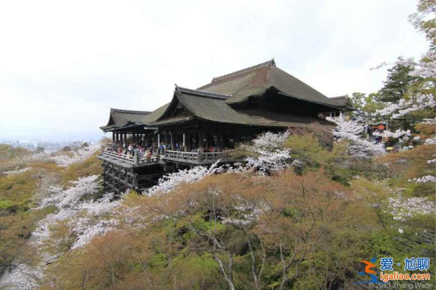 新一小蘭修學旅行地點是哪？朝圣怎么玩？柯南特別篇新蘭發糖正式確認關系！？