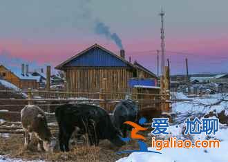 北極村能看到極光嗎,什么時間在北極村觀看極光最佳,北極村看極攻略? 北極村能看到極光嗎,什么時間在北極村觀看極光最佳,北極村看極攻略?