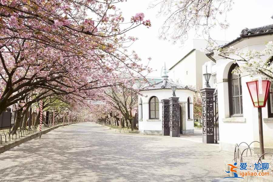 2019年大阪賞櫻去哪好，2019年大阪賞櫻地點推薦，2019年大阪賞櫻攻略？