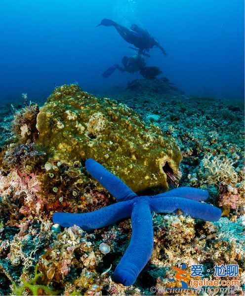 【長灘島在哪里】長灘島在哪個國家,長灘島在哪里? 【長灘島在哪里】長灘島在哪個國家,長灘島在哪里?
