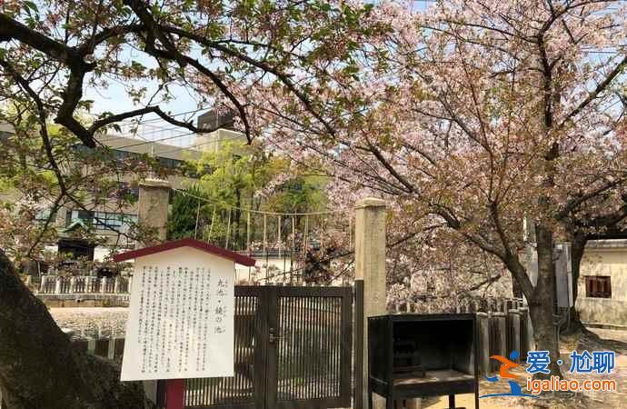 2019年大阪賞櫻去哪好，2019年大阪賞櫻地點推薦，2019年大阪賞櫻攻略？