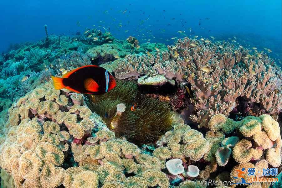 【長灘島在哪里】長灘島在哪個國家,長灘島在哪里? 【長灘島在哪里】長灘島在哪個國家,長灘島在哪里?