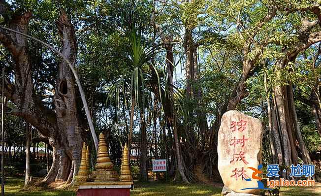 走進中緬邊境小城——瑞麗（圖文）？