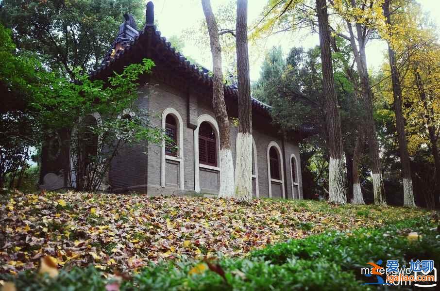 南京——六朝古都的滄桑洗禮,現(xiàn)代化都市的燦爛文明? 南京——六朝古都的滄桑洗禮,現(xiàn)代化都市的燦爛文明?