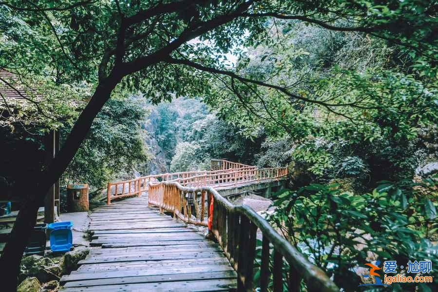 廣州踏青去哪好，廣州哪里適合踏青，廣州踏青好去處？