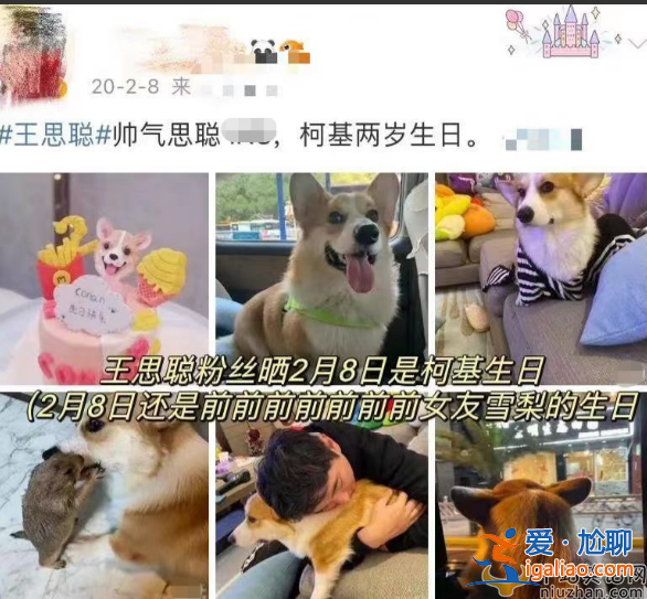 王思聰疑似與前女友陳雅婷復合?女方分手后一直深愛男方 王思聰吃回頭草?