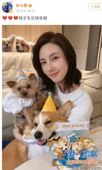 王思聰疑似與前女友陳雅婷復合?女方分手后一直深愛男方 王思聰吃回頭草?