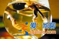 蟲草怎么吃最好？